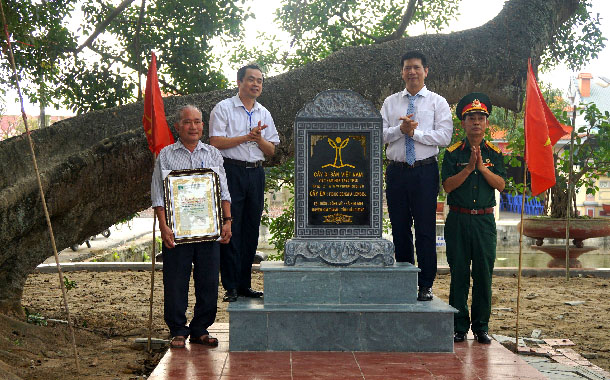 Lễ trao bằng công nhận cây di sản tại xã Kim Anh, huyện Kim Thành, tỉnh Hải Dương